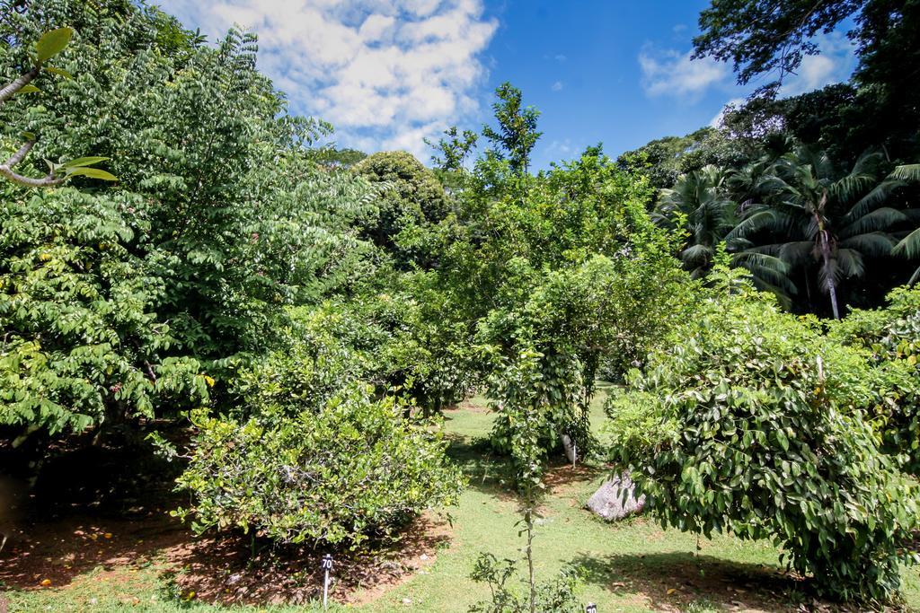 Le Domaine De Bacova *